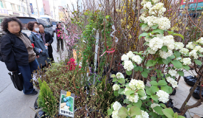 시민들 발길 사로잡는 묘목들                                                                                                                                                                       