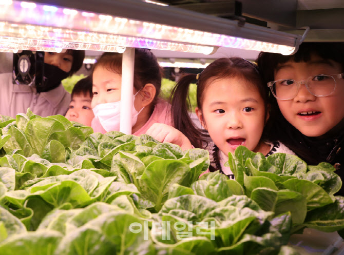  스마트팜 체험학습                                                                                                                                                                                