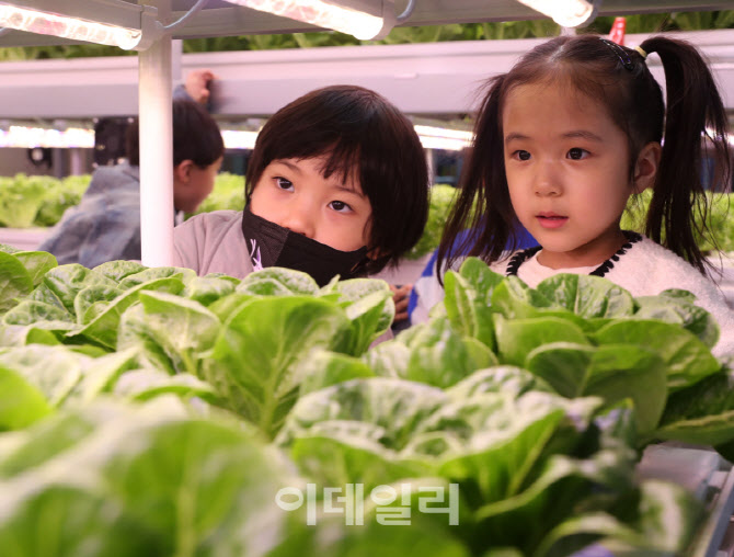  마포구 스마트팜 체험장 찾은 어린이들                                                                                                                                                             