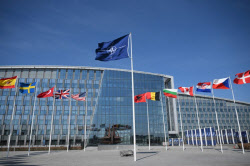 美나토 대사 동맹 압박…“나토가 미국에 왜 도움되는지 입증해야”