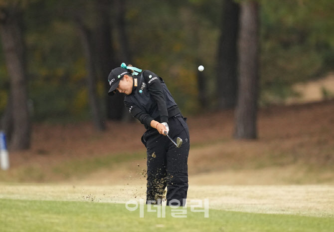 리슈잉,감각적인 임팩트                                                                                                                                                                            