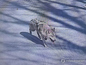 연재이미지