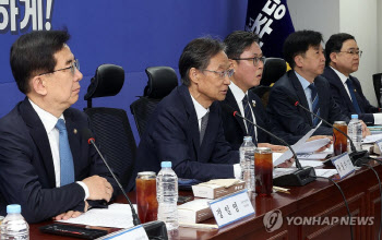 與 "차량 2·5부제 따른 보험료 인하 논의중…늦어도 다음주 발표"