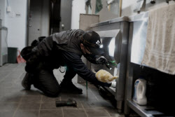 [마켓인]세스코 독주 끝낼까…세이클, 방역시장 ‘롤업’ 승부수