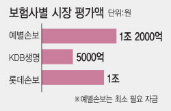 보험사 매물 줄줄이 나오는데, 시장선 대형사 아니면 시큰둥