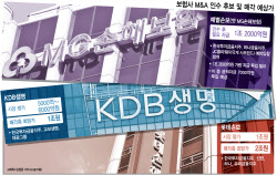 저출산·고령화에 사양산업 전락…금융업계 '계륵'된 보험사