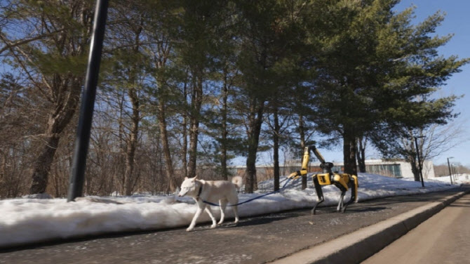 보스턴 다이내믹스, ‘로봇 AI’ 경쟁 우위…현대차 80만원 간다-KB