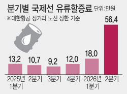 하늘 길까지 막혔다…살길 막막한 여행사