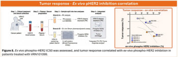 보로노이, AACR2026서 ‘VRN10’ 데이터 공개…HER2 치료 새 가능성 제시