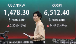 서학개미, 코스피 6500시대 올라탔다…RIA 잔고 1조 돌파