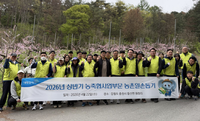농협생명 농축협사업부문, 춘천 복숭아 농가서 농촌봉사활동 실시
