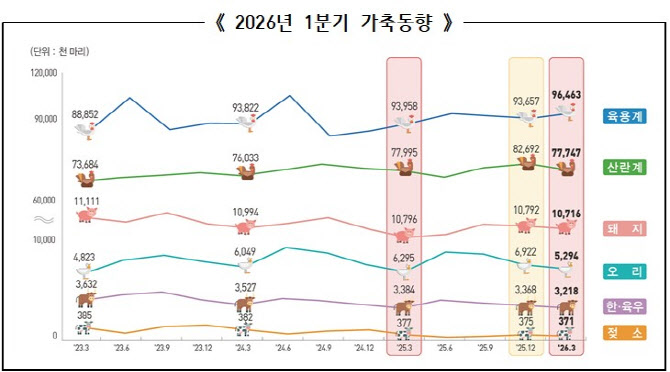 1분기 닭 사육 증가…오리 15.9% 감소