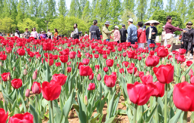 '제18회 고양국제꽃박람회' 열려                                                                                                                                                          