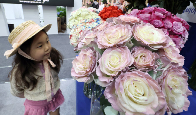 눈길 사로잡는 아름다운 장미                                                                                                                                                                       