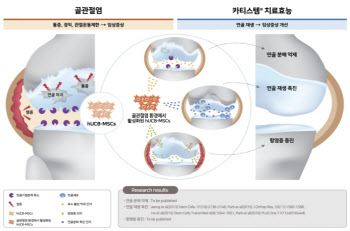 日3상 결과공개 임박한 ‘카티스템’…메디포스트 주가도 고공행진