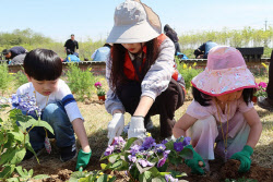 오스템임플란트, 서울 강서구청과 환경보전활동…‘생명의 숲 꽃동산 가꾸기’
