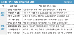 '3위 산유국' UAE, OPEC 탈퇴…깨진 석유 카르텔, 한국엔 기회(종합)