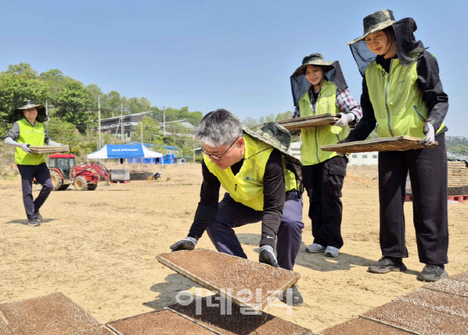 [포토] 농협경제지주, 전국 각지에서 농촌일손돕기