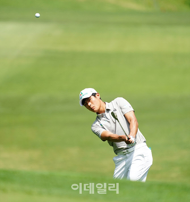  장희민, 정교한 칩핑                                                                                                                                                                              