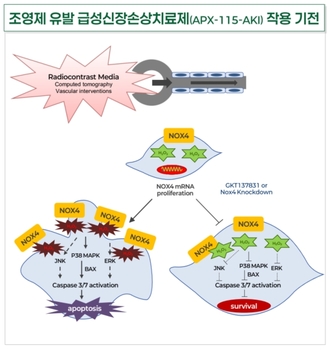 “환자 줄이고 속도 높였다”…압타바이오, ‘아이수지낙시브’ 임상 승부수 통할까