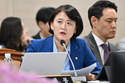 민주당 “조국, 민주당 향한 네거티브...진보진영 분열 초래"