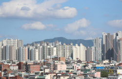 주요뉴스