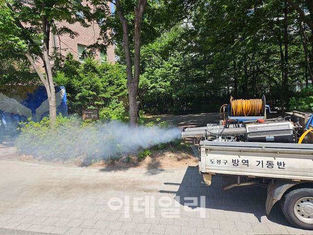 [포토] 도봉구, '러브버그' 선제적 대응
