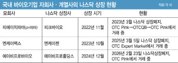 로킷아메리카, 美서 불확실성·고평가 지적...K바이오 나스닥 상장 잔혹사 재현?