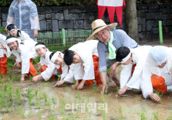 [포토] 전통 손 모내기 체험행사                                                                                                                                                                          