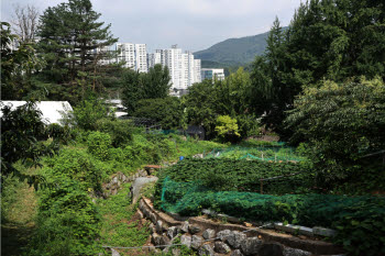 연재이미지