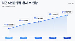 ‘제네릭 천하’ 통풍 치료제 시장…JW중외제약 새 판 노린다