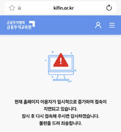 "삼전닉스 2배 ETF, 지금이라도 타자"…개미 몰려 '마비' 사태