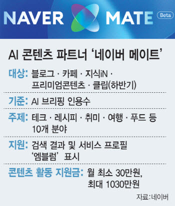 "月 최대 1030만원" 블로그 잘 쓰면 네이버가 보상