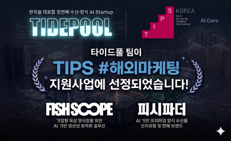 타이드풀, 팁스 해외마케팅 지원사업 선정 - 뉴스 썸네일 이미지