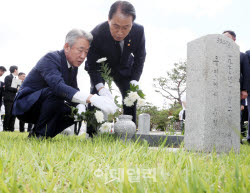 [포토] 국가보훈부-농협, 국화 헌화행사                                                                                                                                                                   