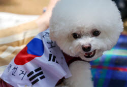 '반려견도 재선거'                                                                                                                                                                             