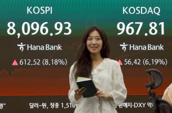 '뒷북개미' 결국 웃었다...121조 던진 외국인 성적표 보니
