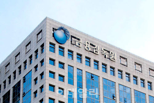 금감원, 국내 금융사-해외 금융당국간 소통창구 구축