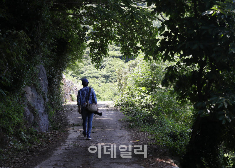 [포토] 금오도 비렁길 걷기 체험