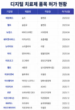 허가 늘어나는 K디지털치료제…비급여·심사 적체는 ‘여전’