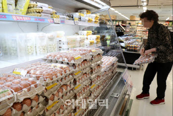 내릴 줄 모르는 계란 가격