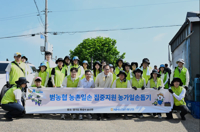 송춘수 농협손보 대표, 경기 화성 포도 농가서 일손돕기 실시
