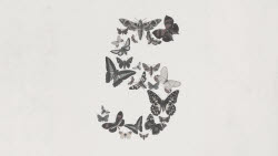 미토스5 차단에 술렁인 판교…
