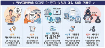 "차값 대신 내준다더니 잠적"…고령층 수천만원 대출사기 비상