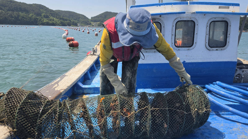 40년 베테랑 선장도 "빠지면 속수무책… 구명조끼 무조건 입죠"