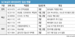 GC녹십자, 큐레보 매각에도 주가 하락하는 이유…상승 전환 포인트는?