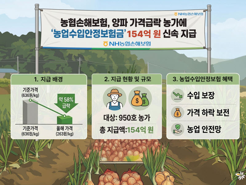 농협손보, 양파 가격 급락에 따른 ‘농업수입안정보험금’ 154억원 신속 지급