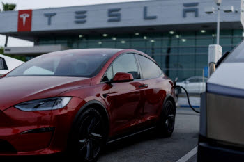 "테슬라 국내 1위 등극…보조금 대수술 시급"