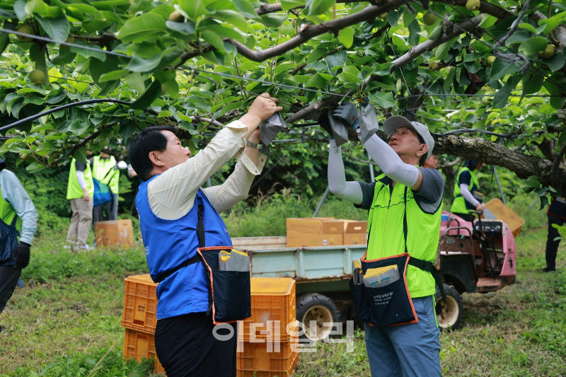 [포토] 농협경제지주-농협하나로유통, 영농철 일손돕기