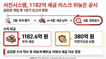 금감원 나선 뒤에야…서진시스템, 분기 보고서 정정[마켓인]
